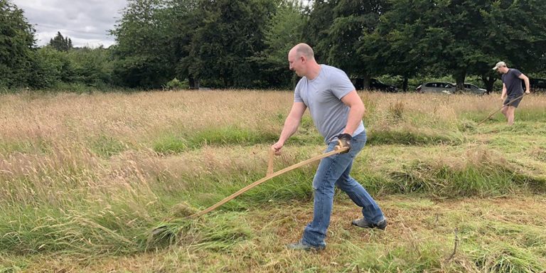 scything-meadow-management